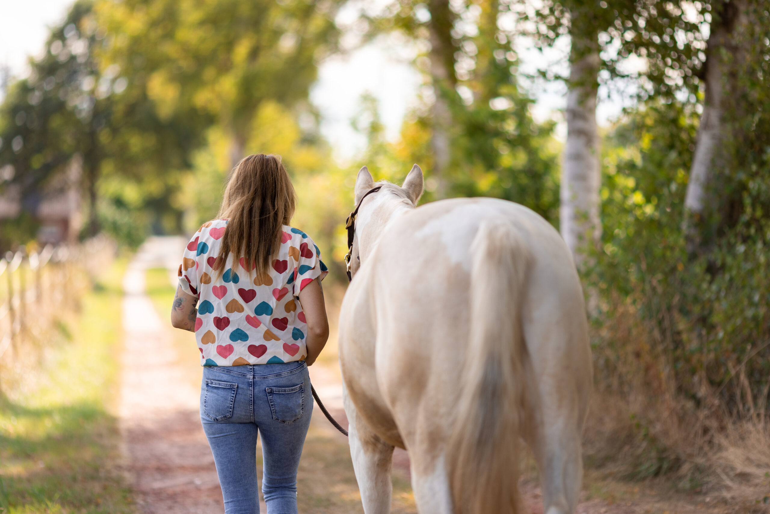 Mit Pferdestärke in deine Leichtigkeit